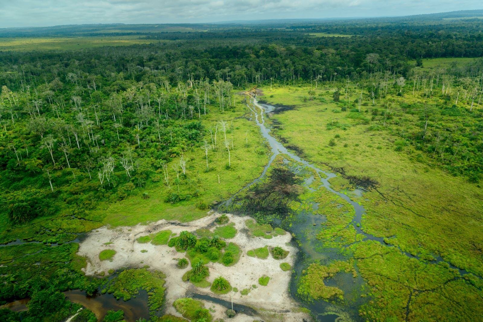 Congo Basin, Central Africa
