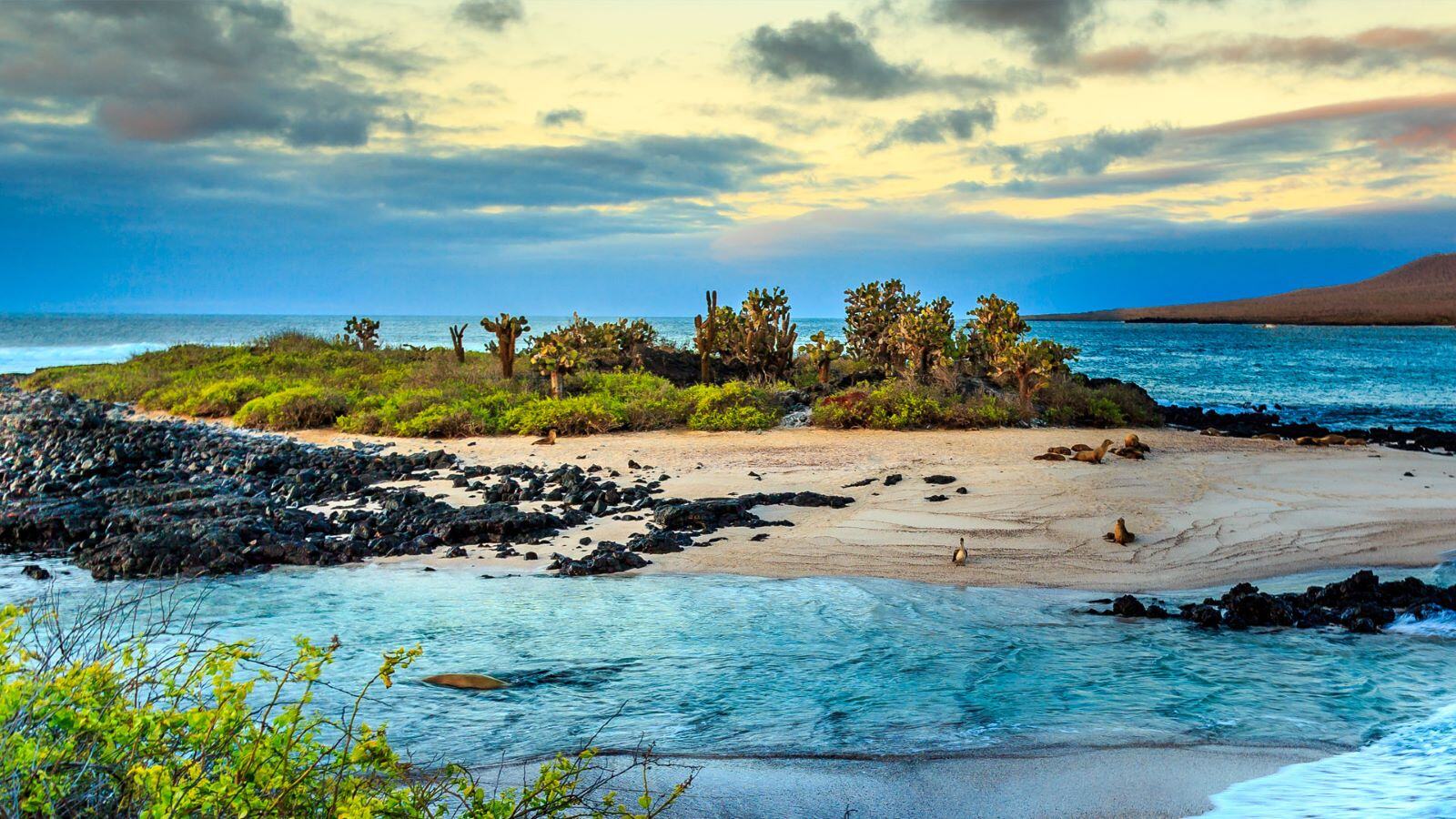 Galápagos Islands, Ecuador