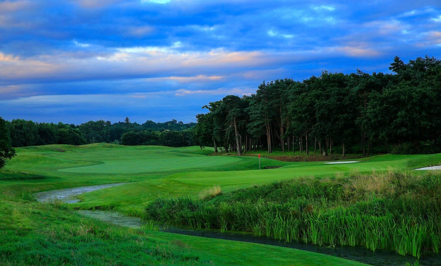 The Wisley