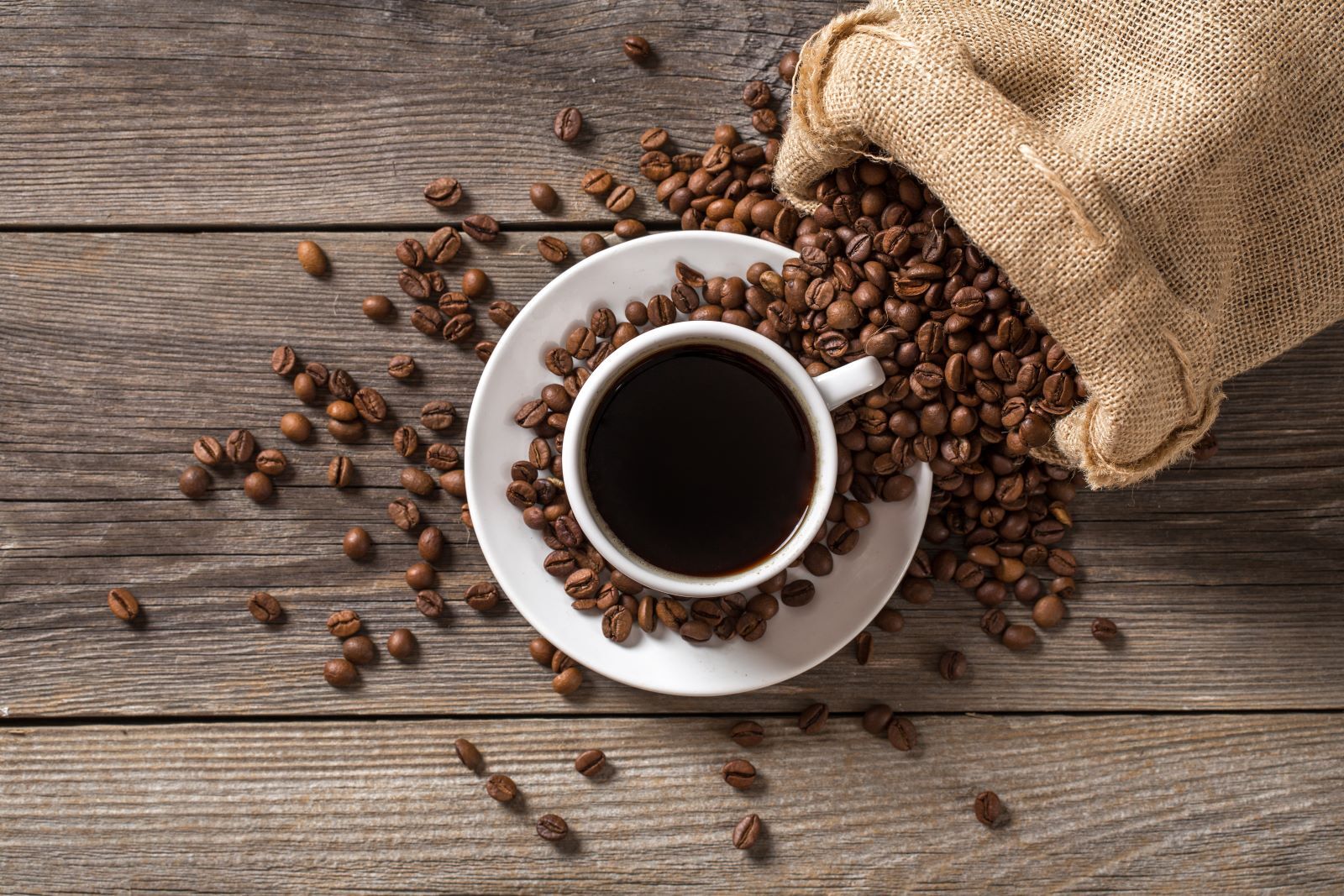 Best Coffee in Abu Dhabi