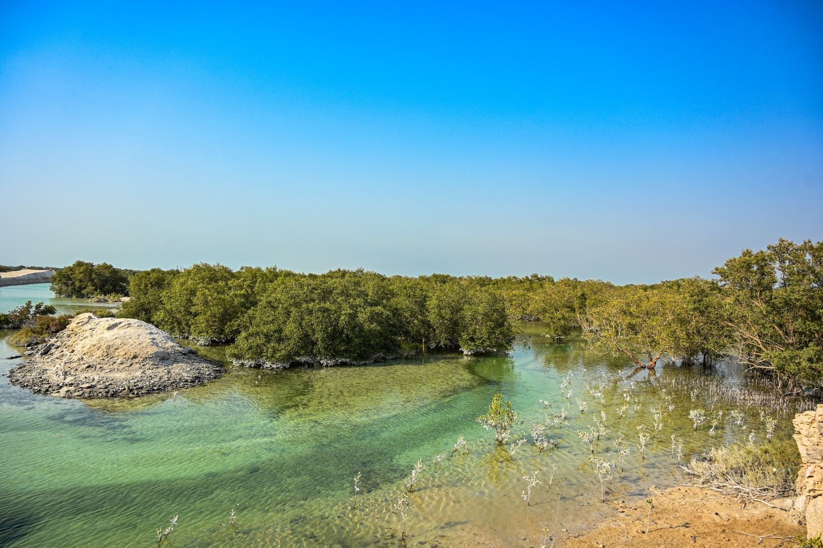 Best Places to Connect with Nature in Abu Dhabi