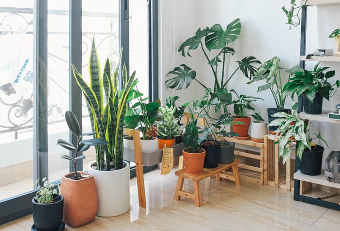 3. Urban Home Garden.jpg 3. Urban Home Garden