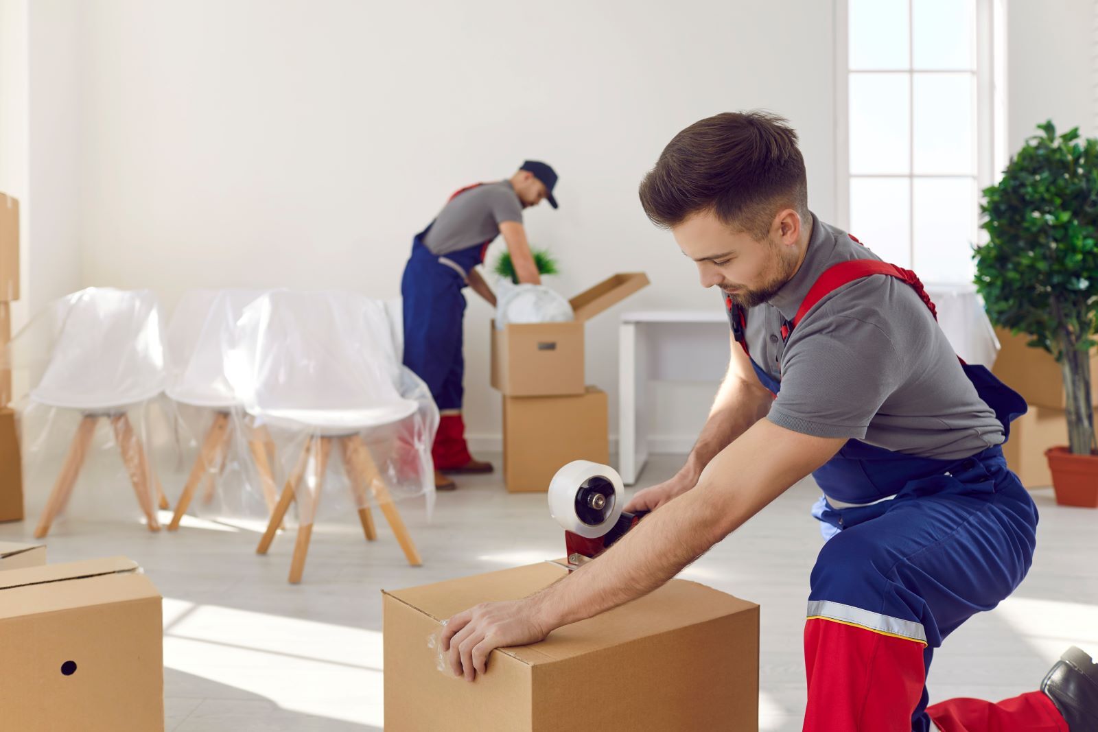 best movers in abu dhabi