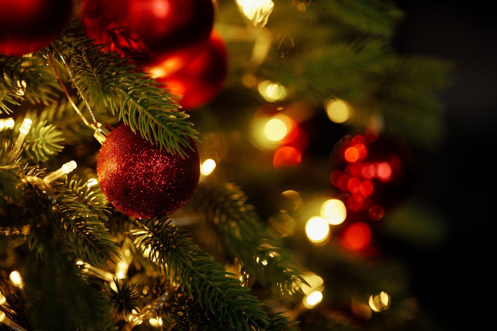 Christmas 2025 Events in Surrey