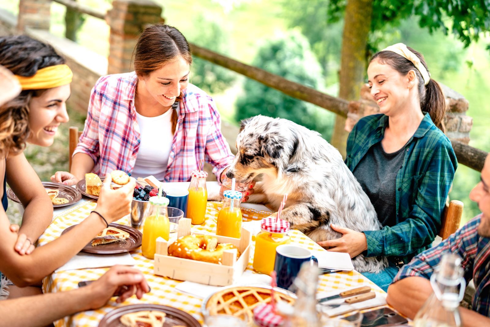 Dog-friendly Bottomless Brunches in London