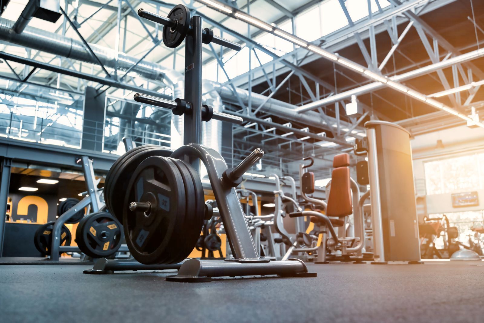 Gyms in Palm Jumeirah: Fitness on Dubai’s Most Iconic Island