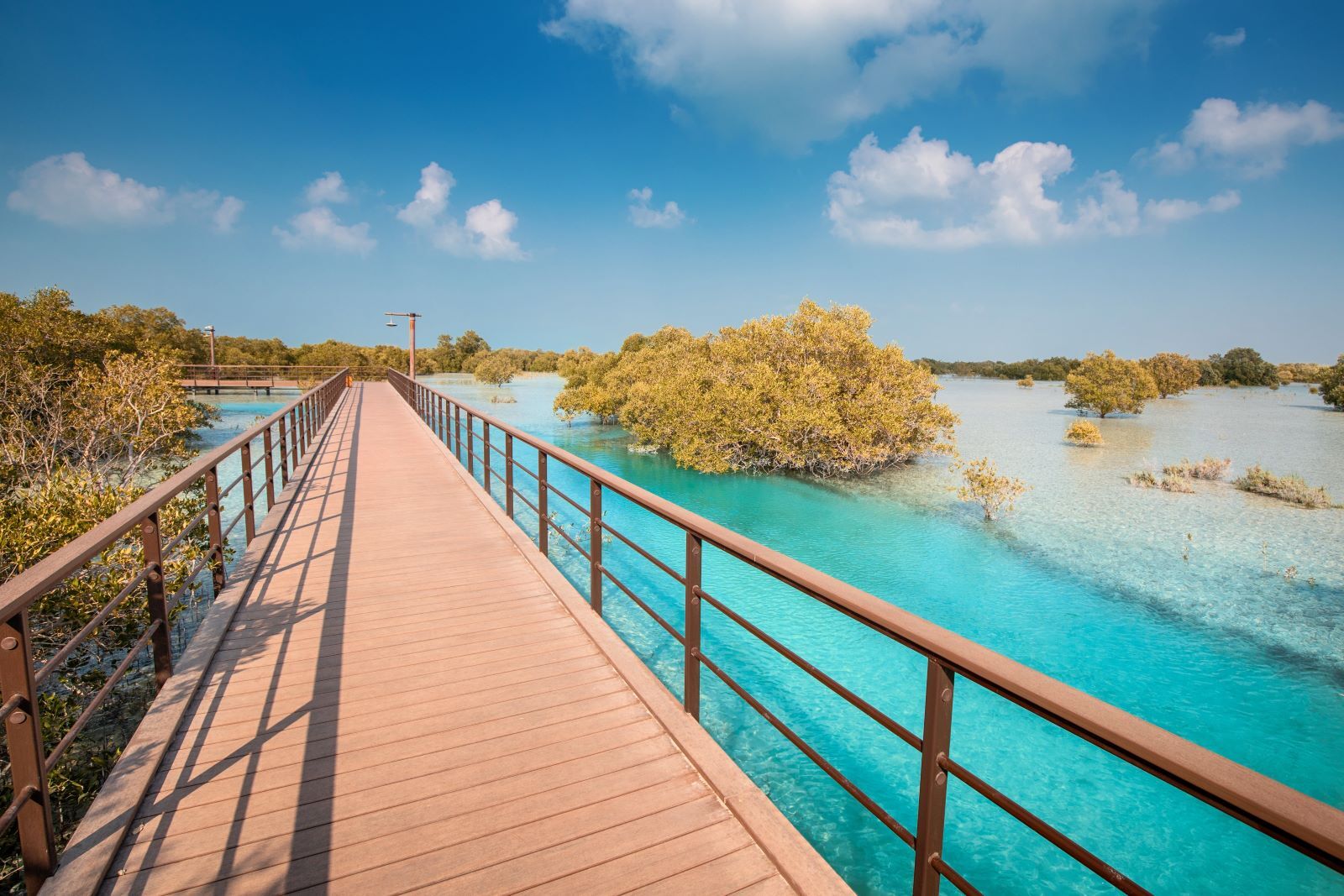 jubail mangrove