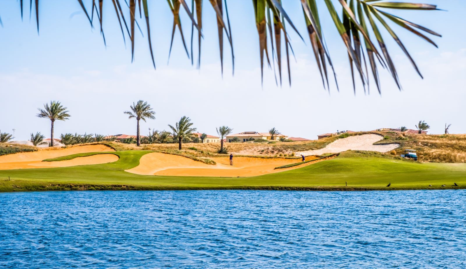saadiyat beach golf club