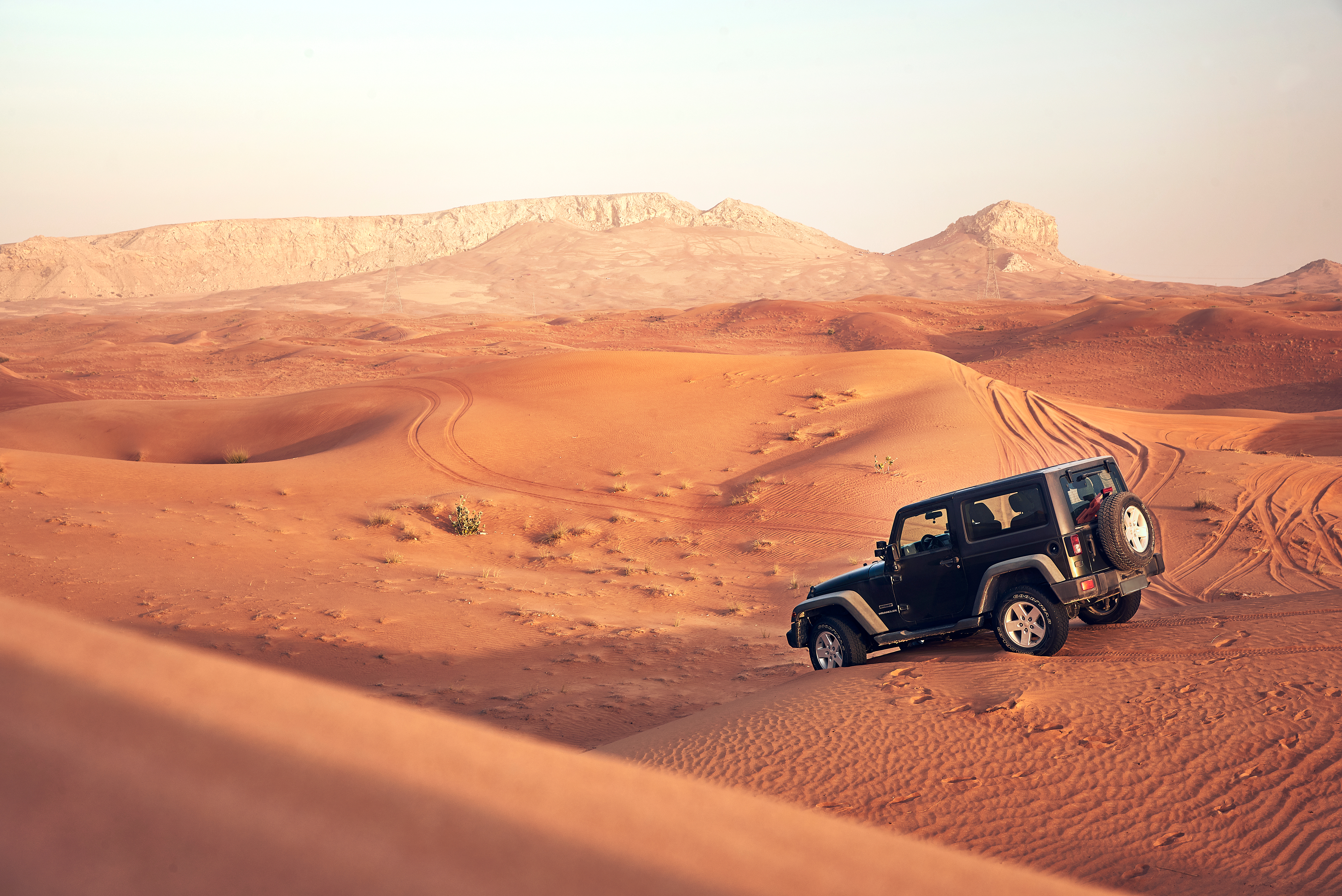 outdoor activities in Abu Dhabi
