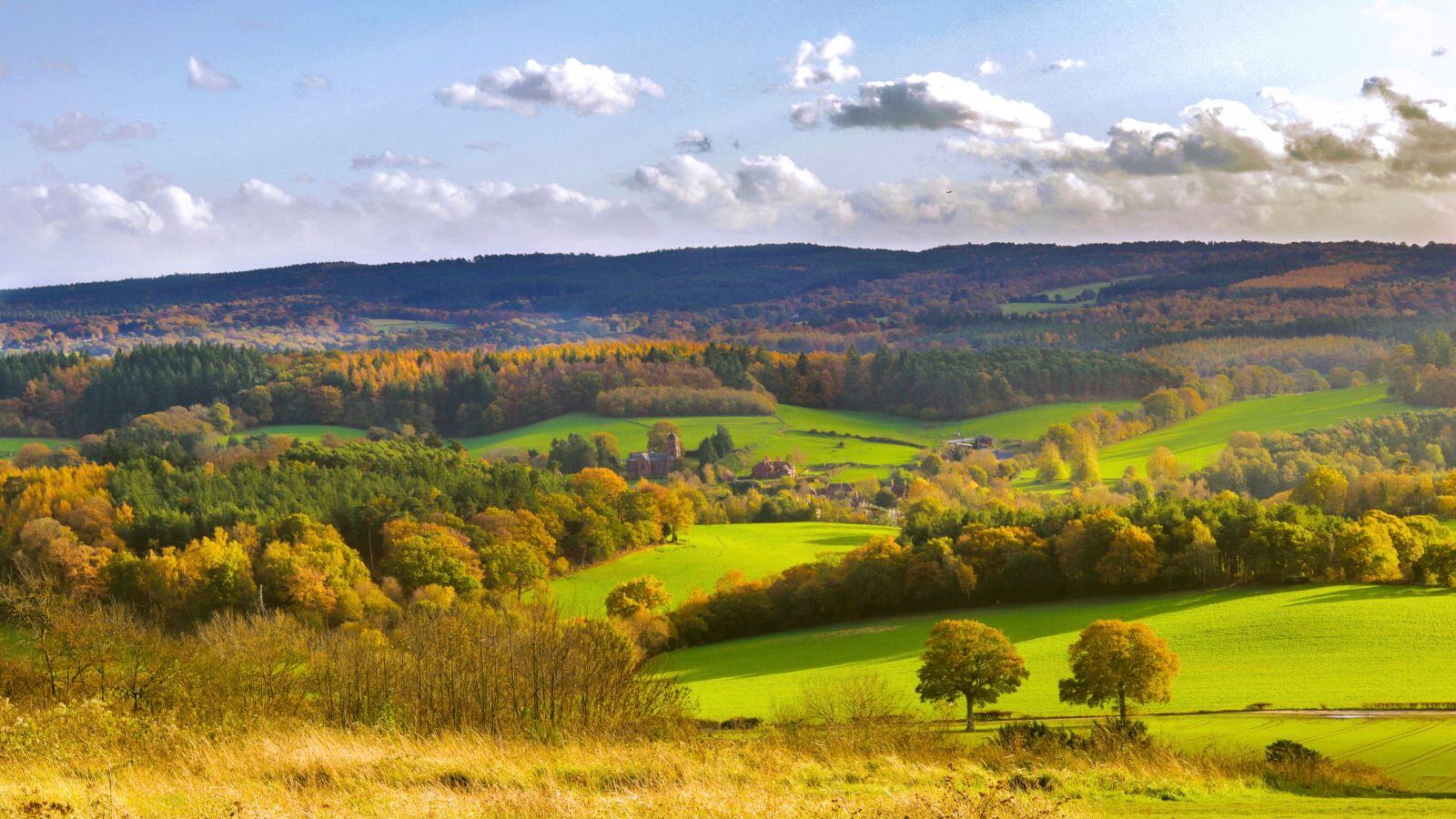 Walking Trails Near London