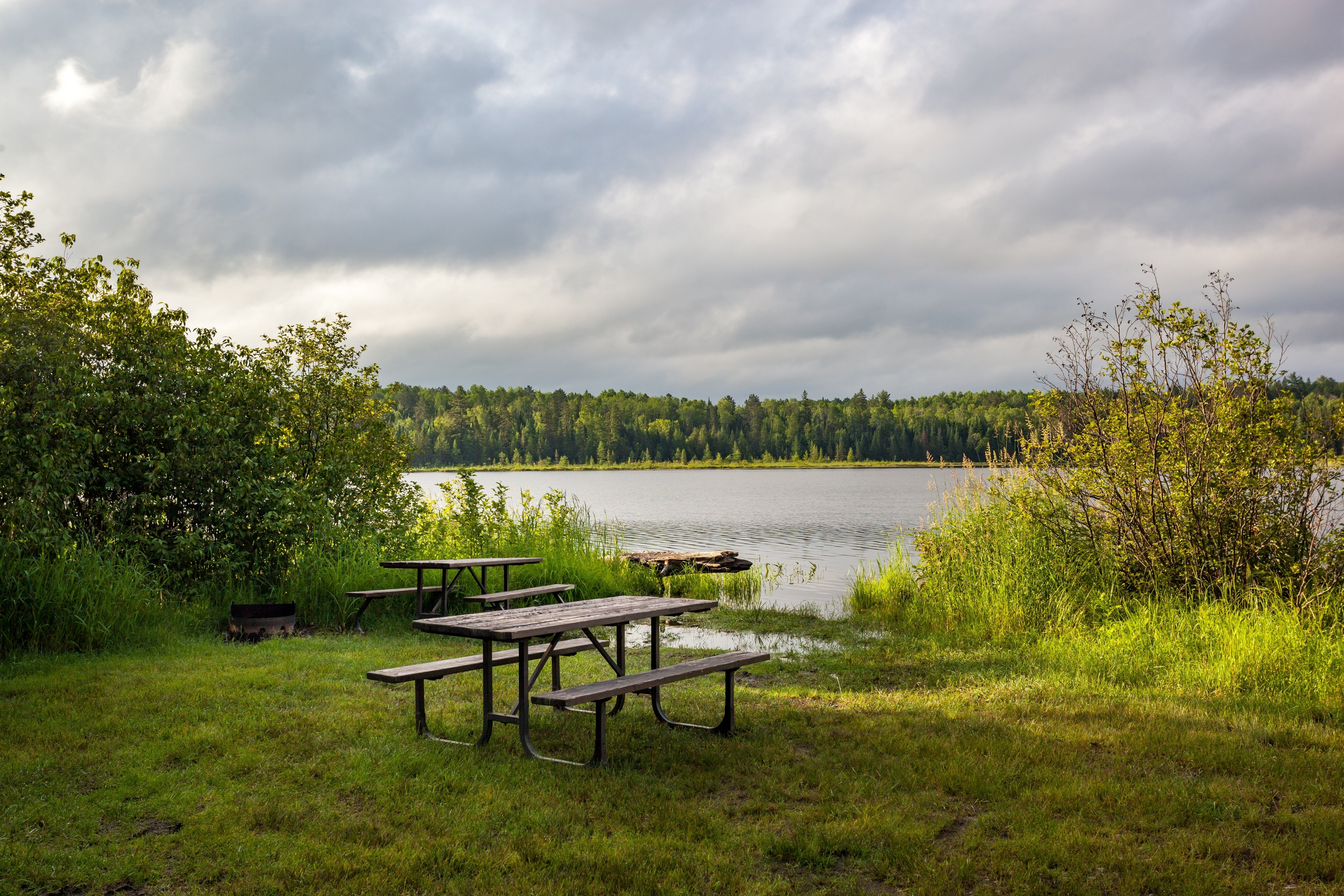 5 Best Campsites in Surrey