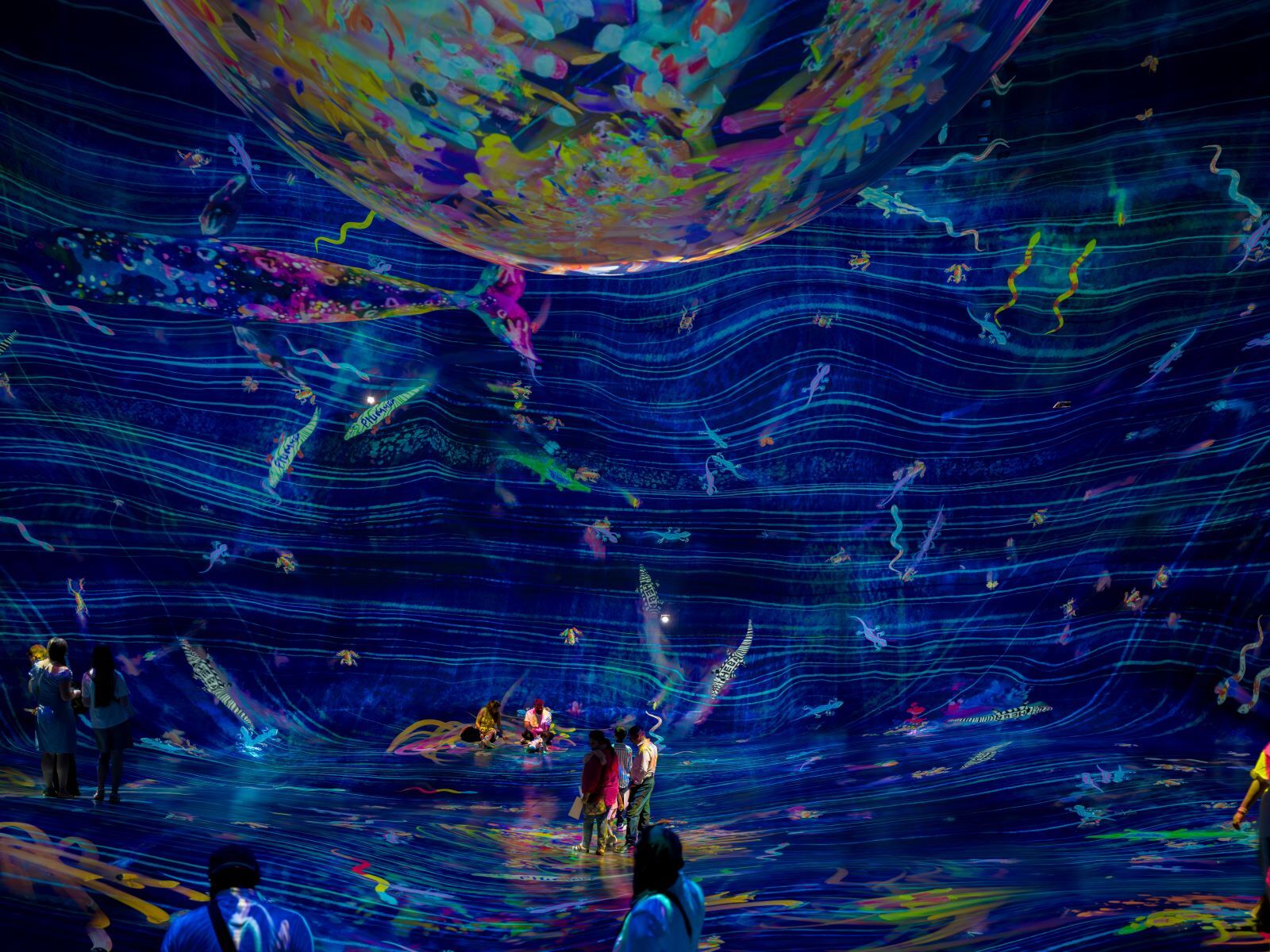 teamlab1