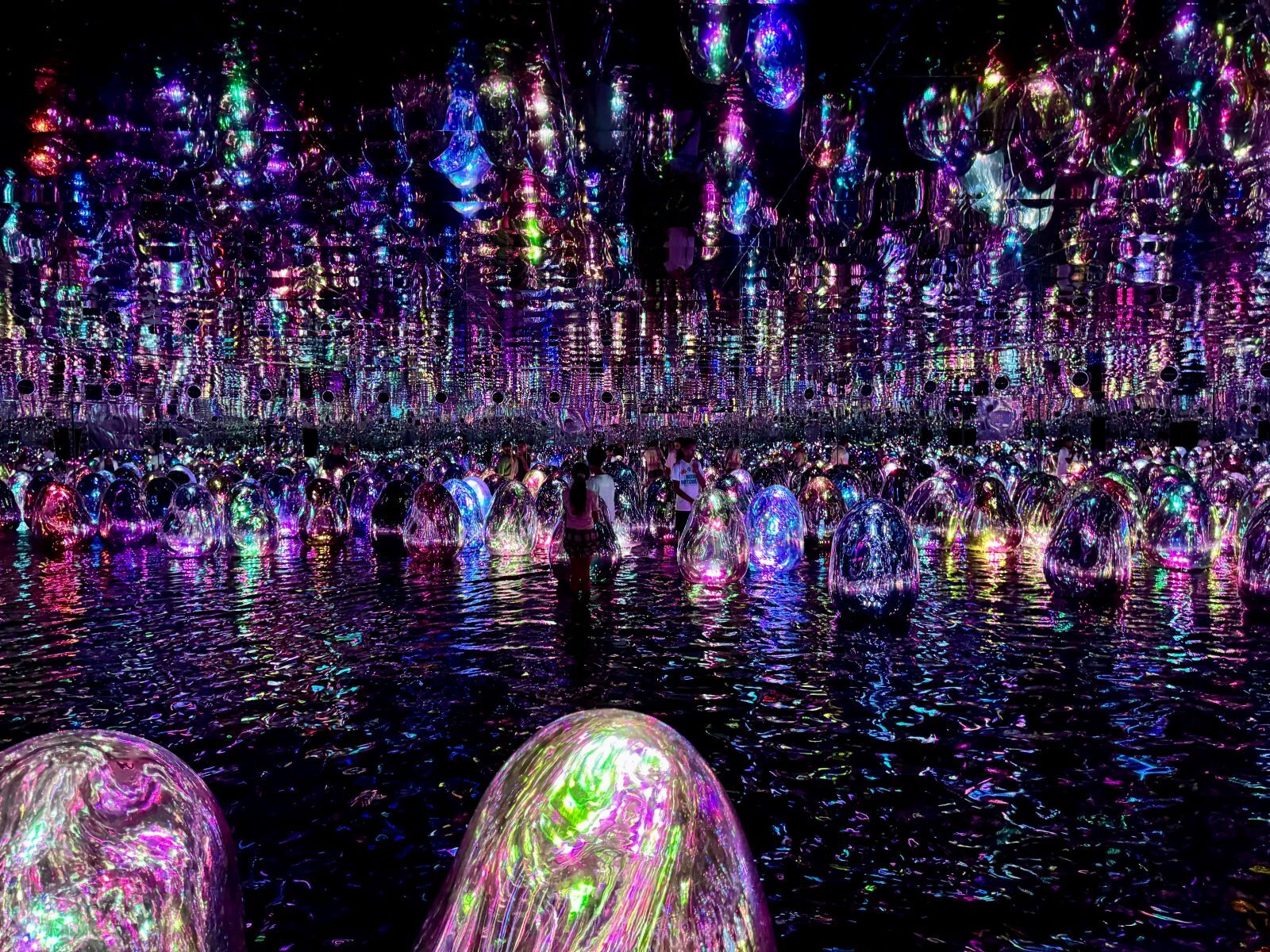 teamlab2